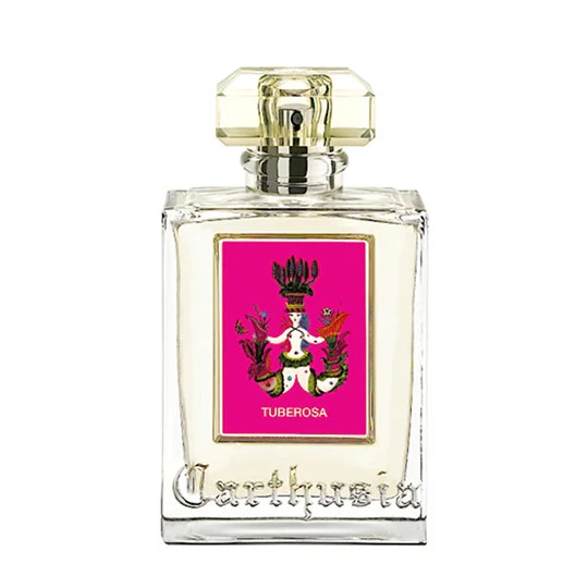 Carthusia - Tuberosa - Image 2