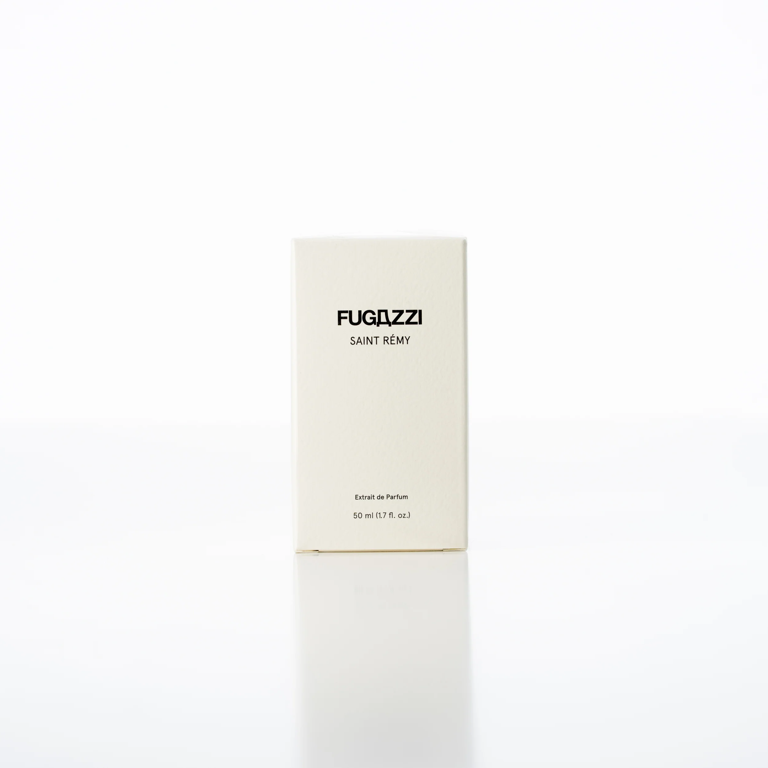 Fugazzi - Saint Remy - Extrait