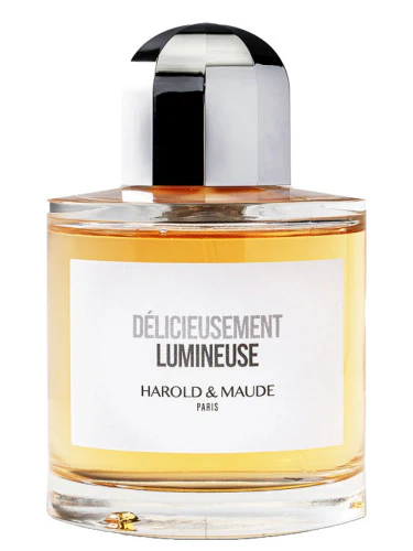 Harold & Maude - Délicieusement Lumineuse