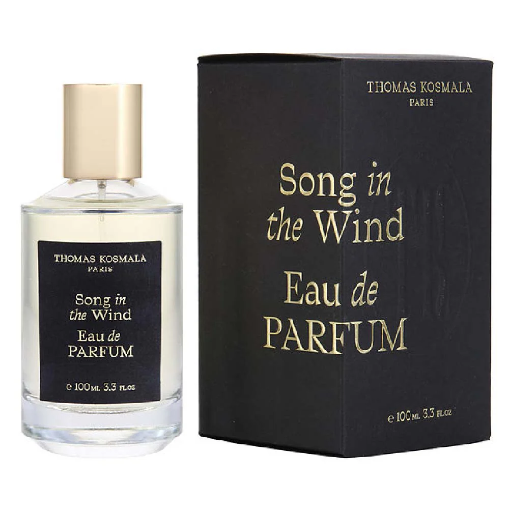 Thomas Kosmala - Song In The Wind Edp