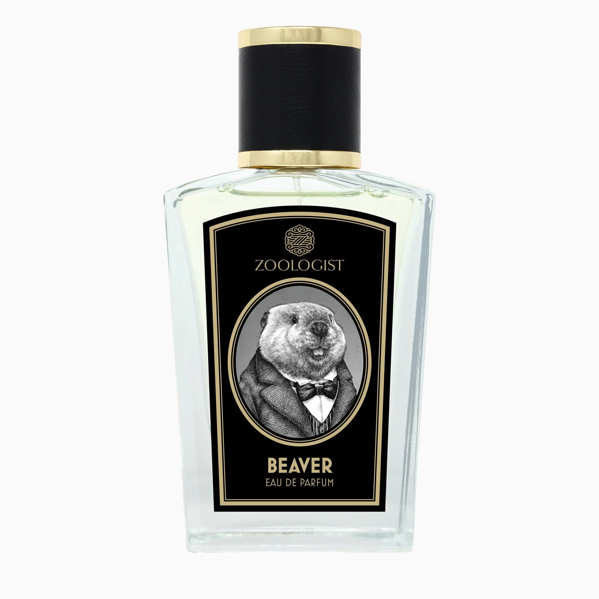 Zoologist - Beaver