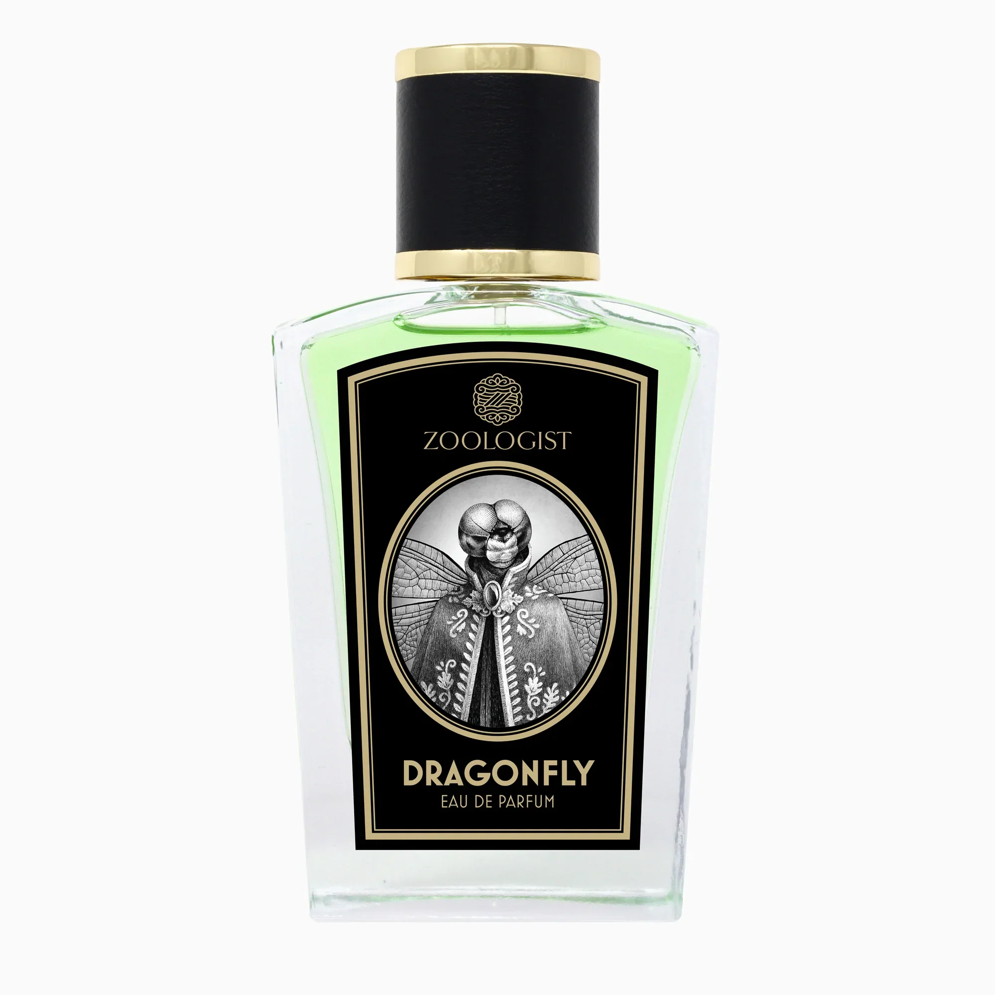 Zoologist - Dragonfly