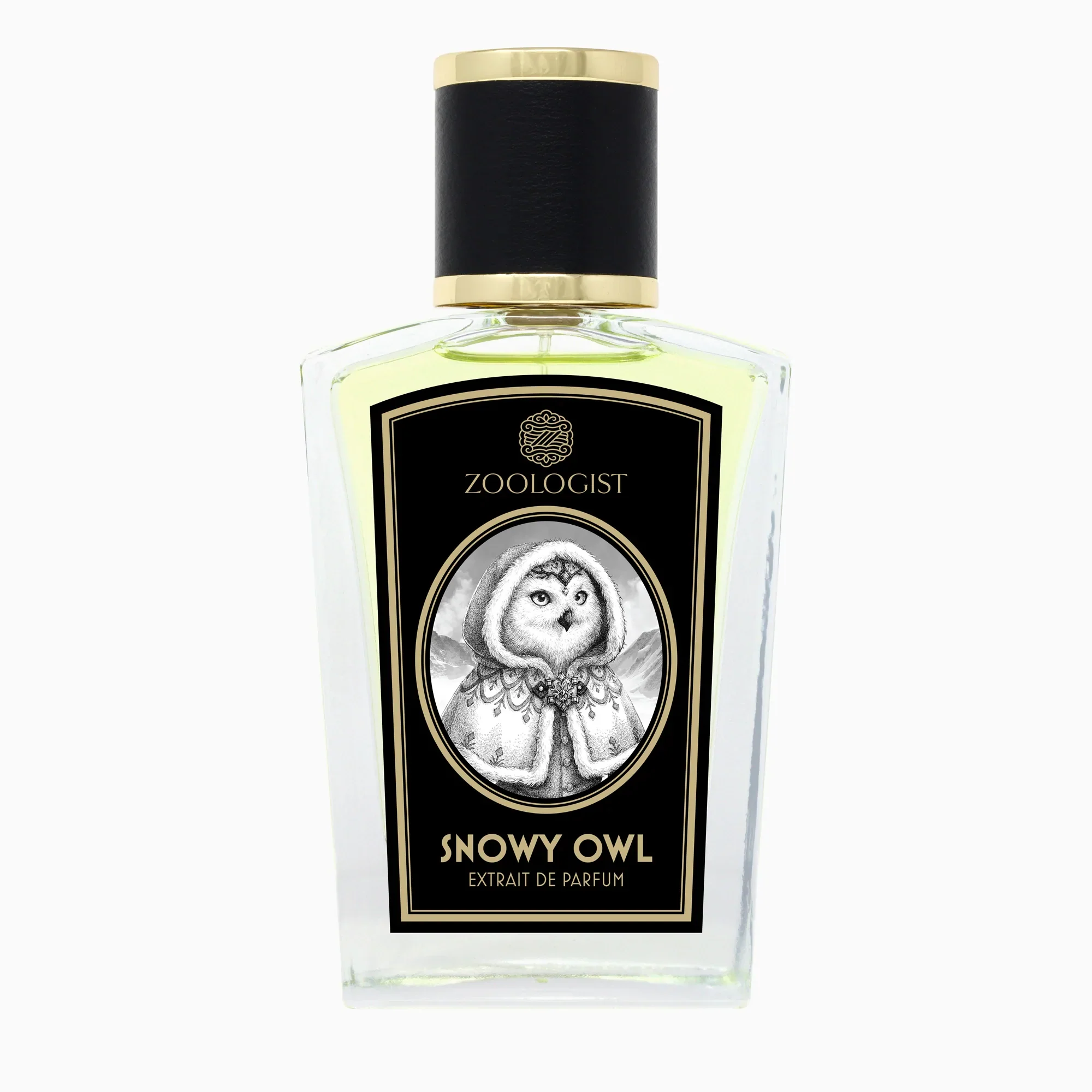 Zoologist - Snowy Owl